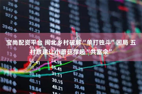 宝尚配资平台 闽北乡村破解“单打独斗”困局 五村联建让小蘑菇撑起“共富伞”